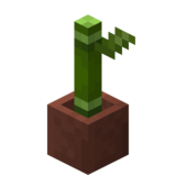 Посаженный бамбук.png